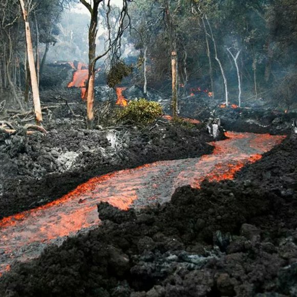 Clearance: Everything Must Go. Make An Offer. Bundle & Save. Buy Now! - Picture 11 of 17